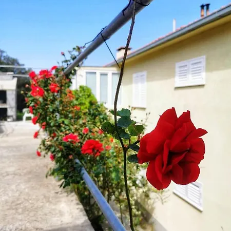 公寓 House 193416-holiday Jasna *